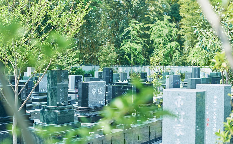 一般墓の写真
